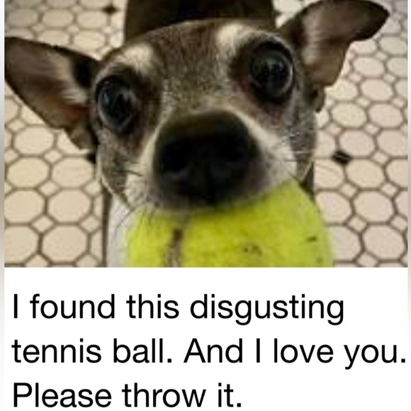 Meet your Posher, C - Picture 3 of 3